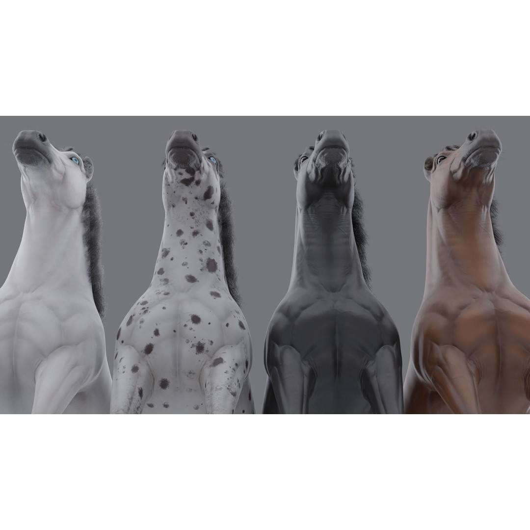 Rigged Horse 3D Model – PBR Realistic Animal for Animation, FBX, OBJ - View 15