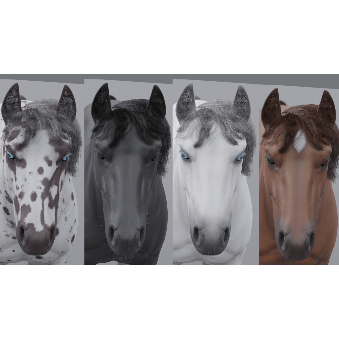 Rigged Horse 3D Model – PBR Realistic Animal for Animation, FBX, OBJ - View 18
