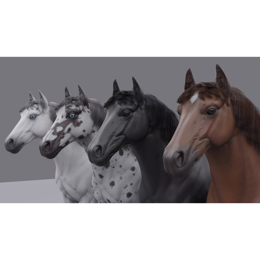 Rigged Horse 3D Model – PBR Realistic Animal for Animation, FBX, OBJ - View 2