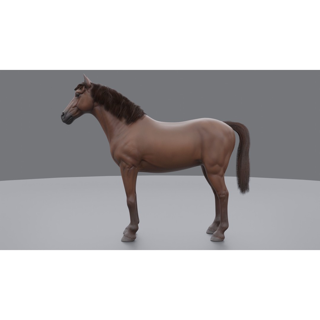 Rigged Horse 3D Model – PBR Realistic Animal for Animation, FBX, OBJ - View 20
