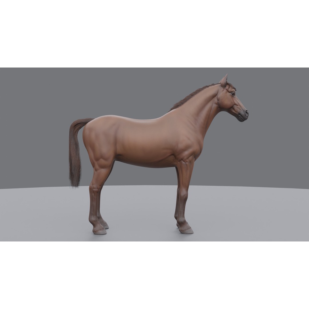 Rigged Horse 3D Model – PBR Realistic Animal for Animation, FBX, OBJ - View 21