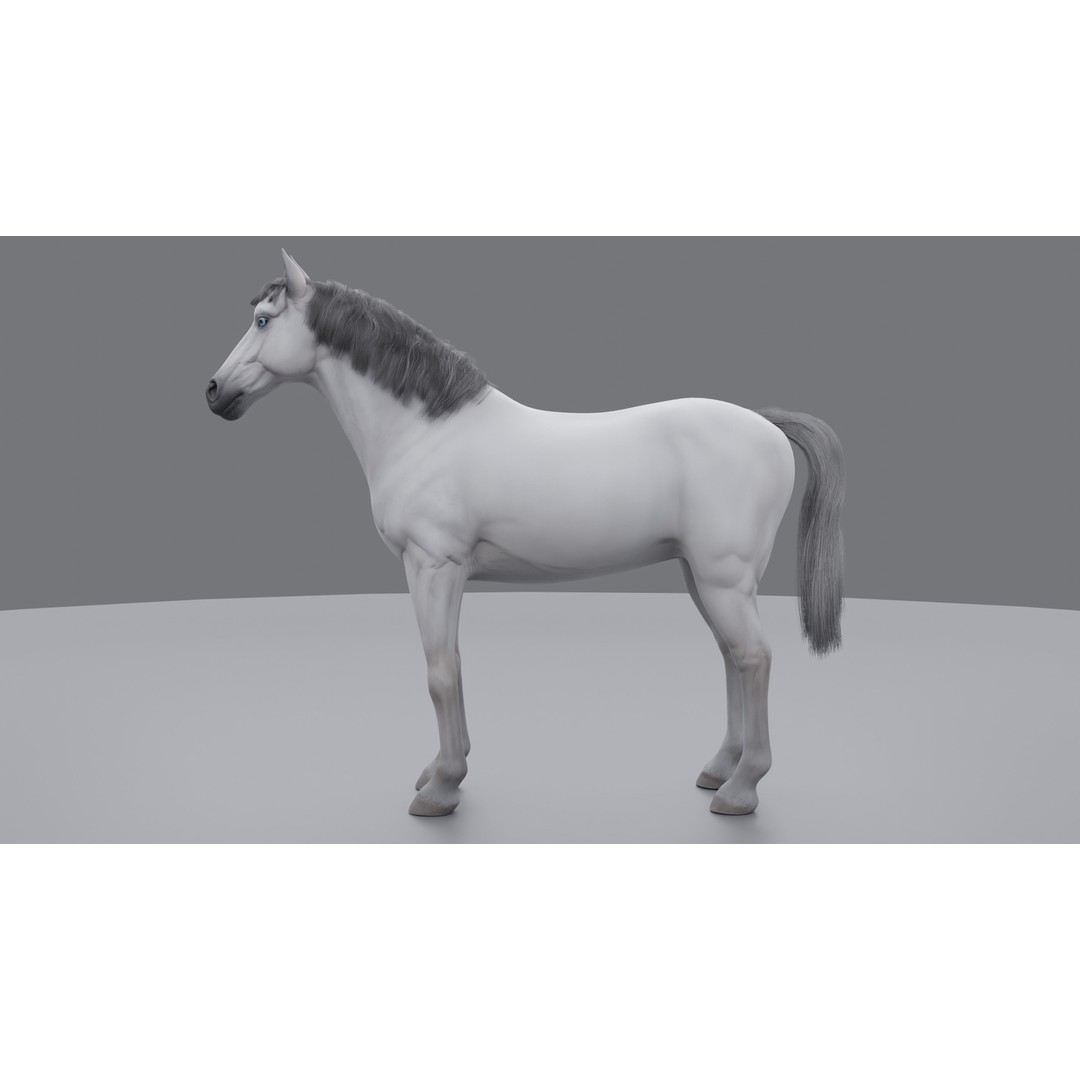 Rigged Horse 3D Model – PBR Realistic Animal for Animation, FBX, OBJ - View 22