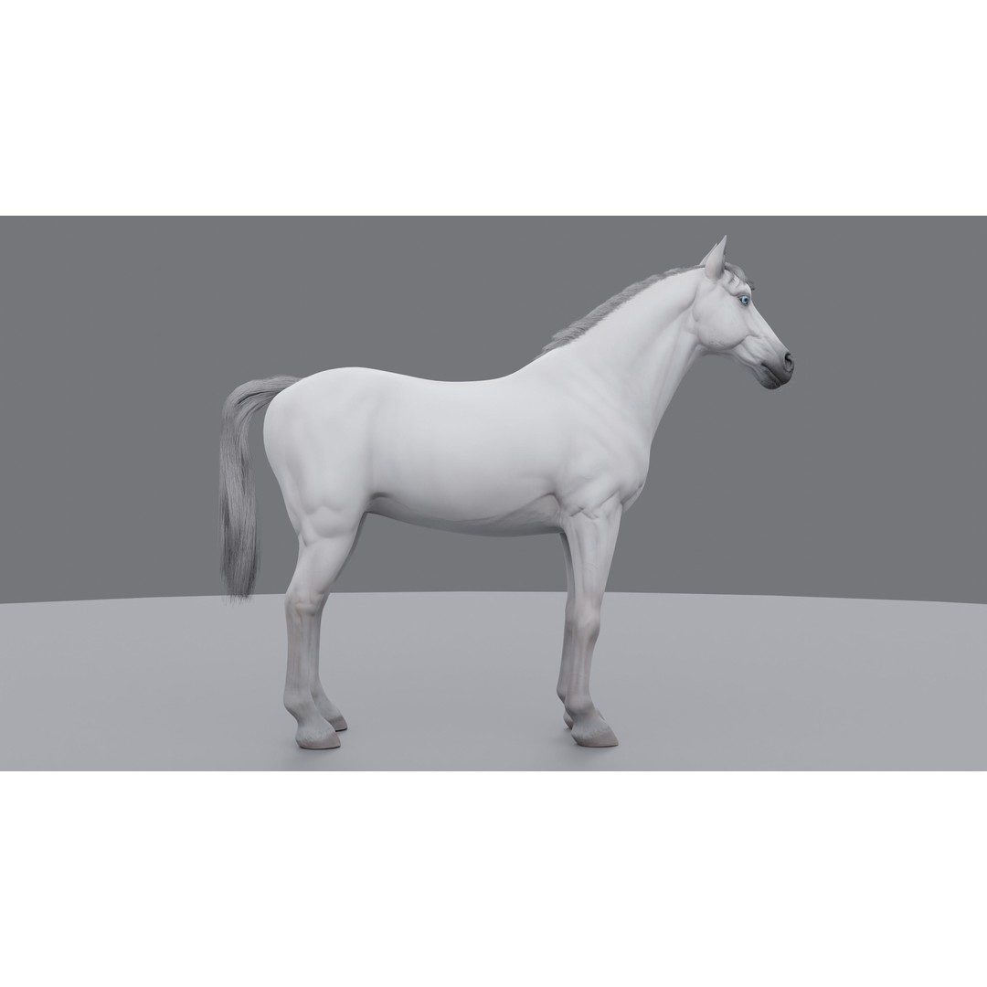 Rigged Horse 3D Model – PBR Realistic Animal for Animation, FBX, OBJ - View 23