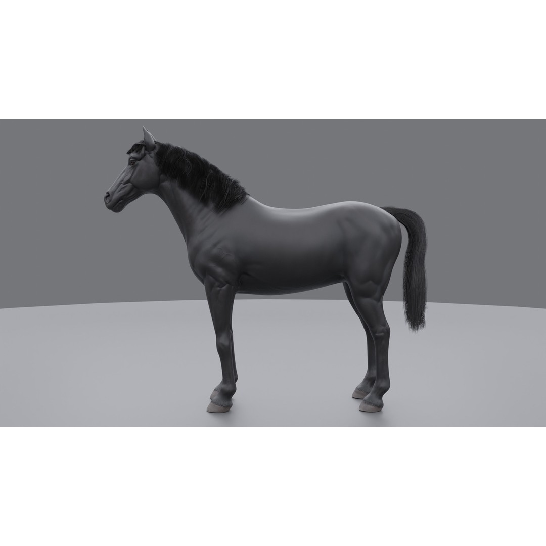 Rigged Horse 3D Model – PBR Realistic Animal for Animation, FBX, OBJ - View 24