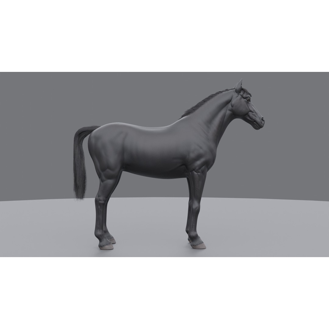 Rigged Horse 3D Model – PBR Realistic Animal for Animation, FBX, OBJ - View 25