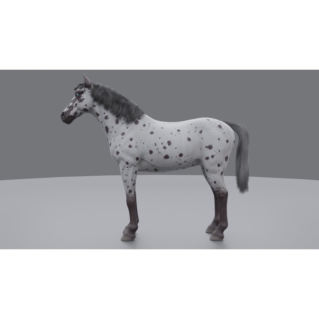 Rigged Horse 3D Model – PBR Realistic Animal for Animation, FBX, OBJ - View 26