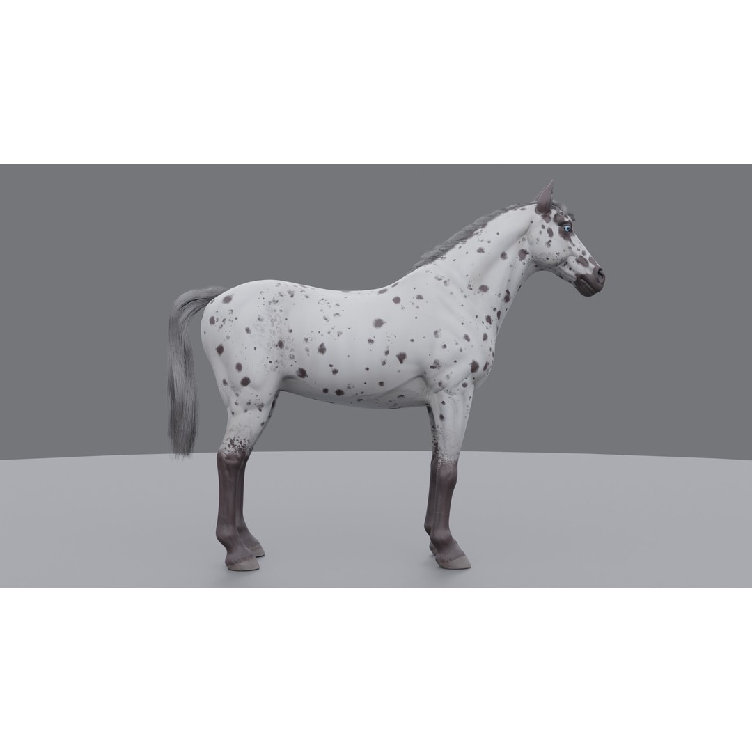 Rigged Horse 3D Model – PBR Realistic Animal for Animation, FBX, OBJ - View 27