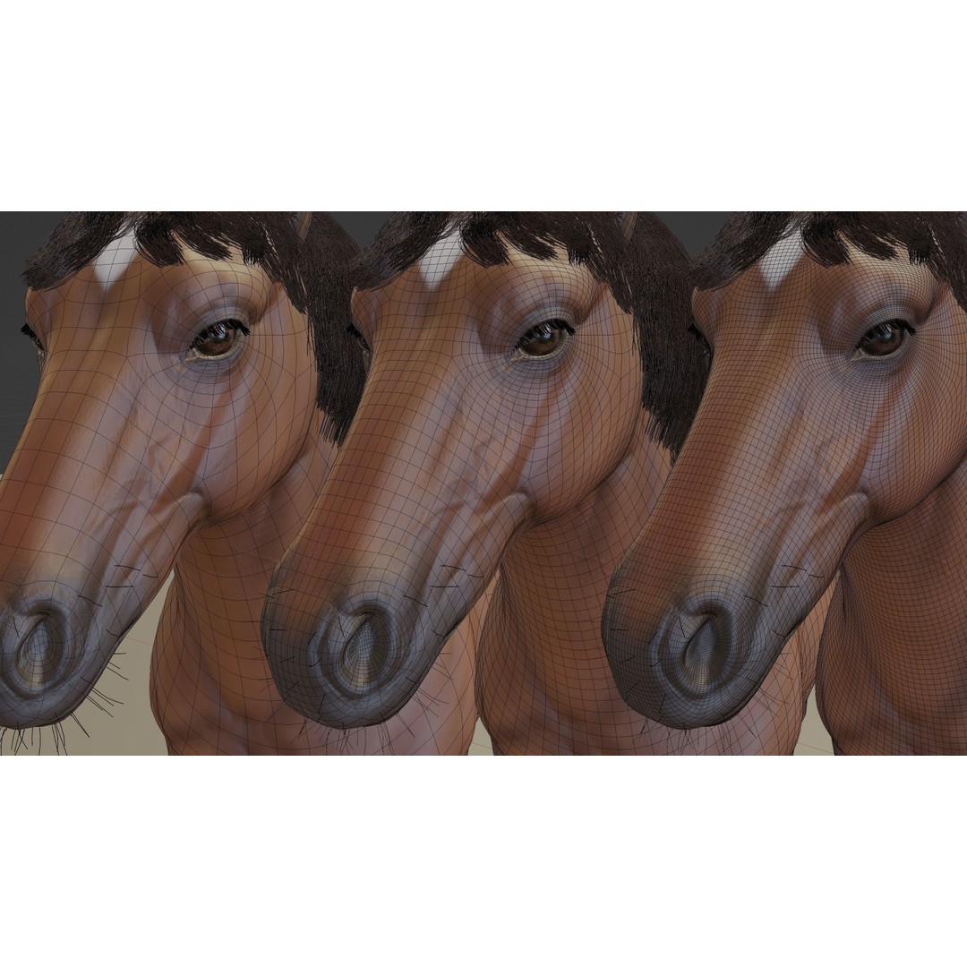 Rigged Horse 3D Model – PBR Realistic Animal for Animation, FBX, OBJ - View 34