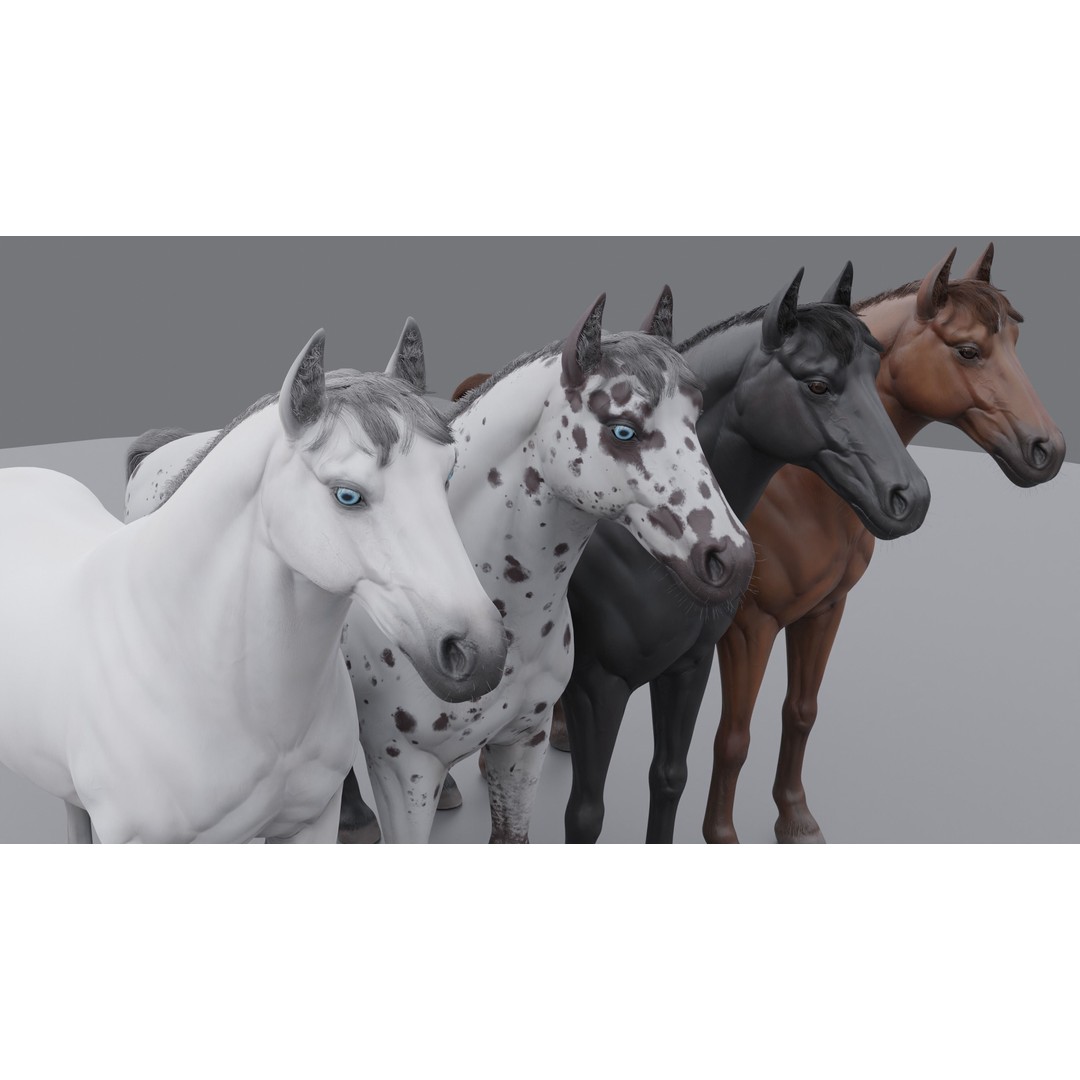 Rigged Horse 3D Model – PBR Realistic Animal for Animation, FBX, OBJ - View 5