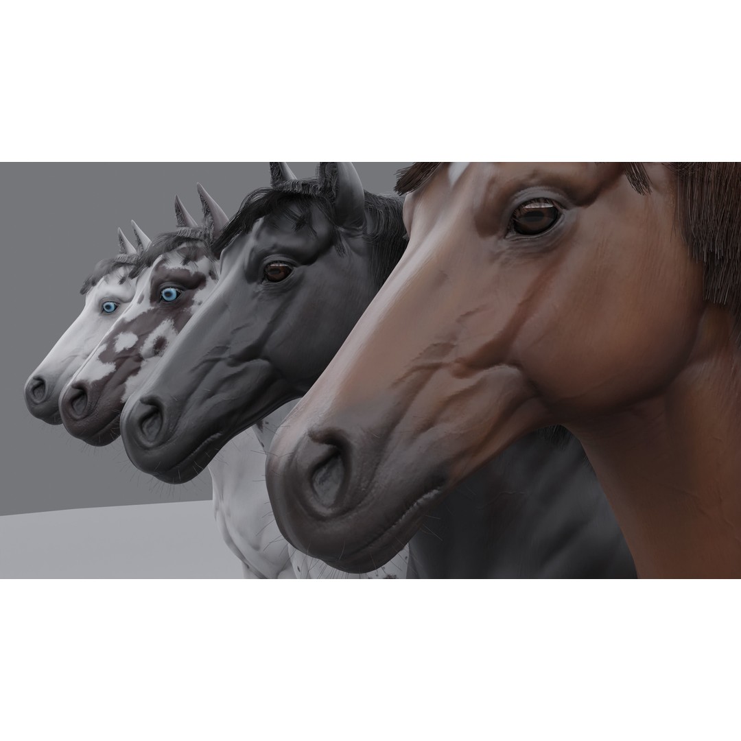 Rigged Horse 3D Model – PBR Realistic Animal for Animation, FBX, OBJ - View 8