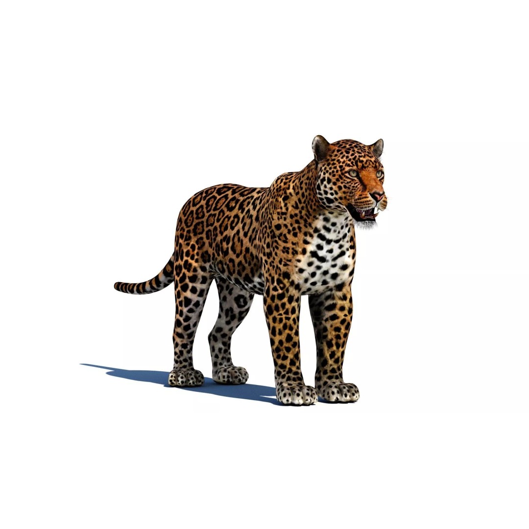 Jaguar 3D Model – Low Poly Animal Asset, FBX, OBJ, PBR - View 3