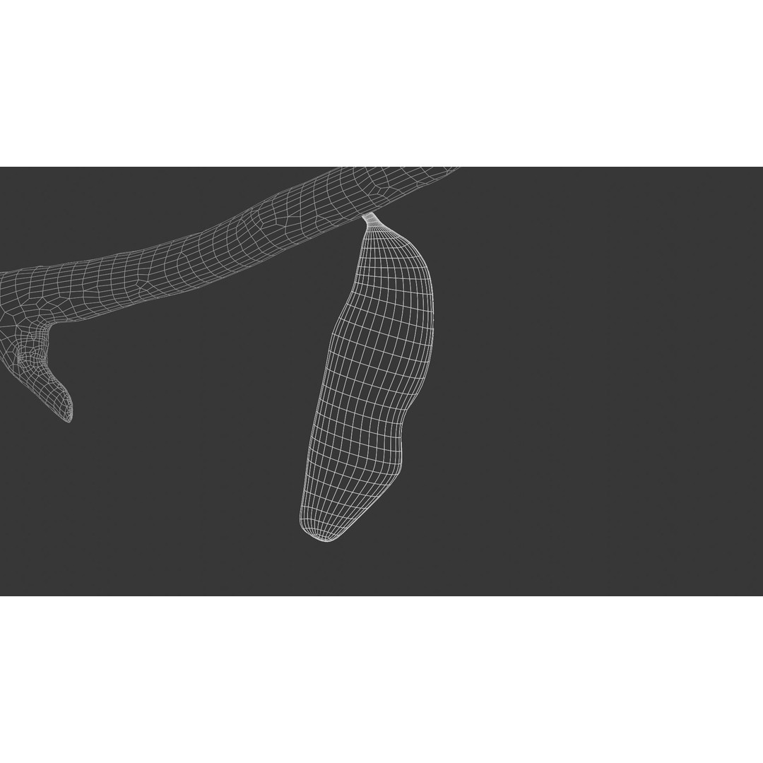Butterfly Cocoon 3D Model – Low Poly PBR Asset, FBX, Blender - View 12