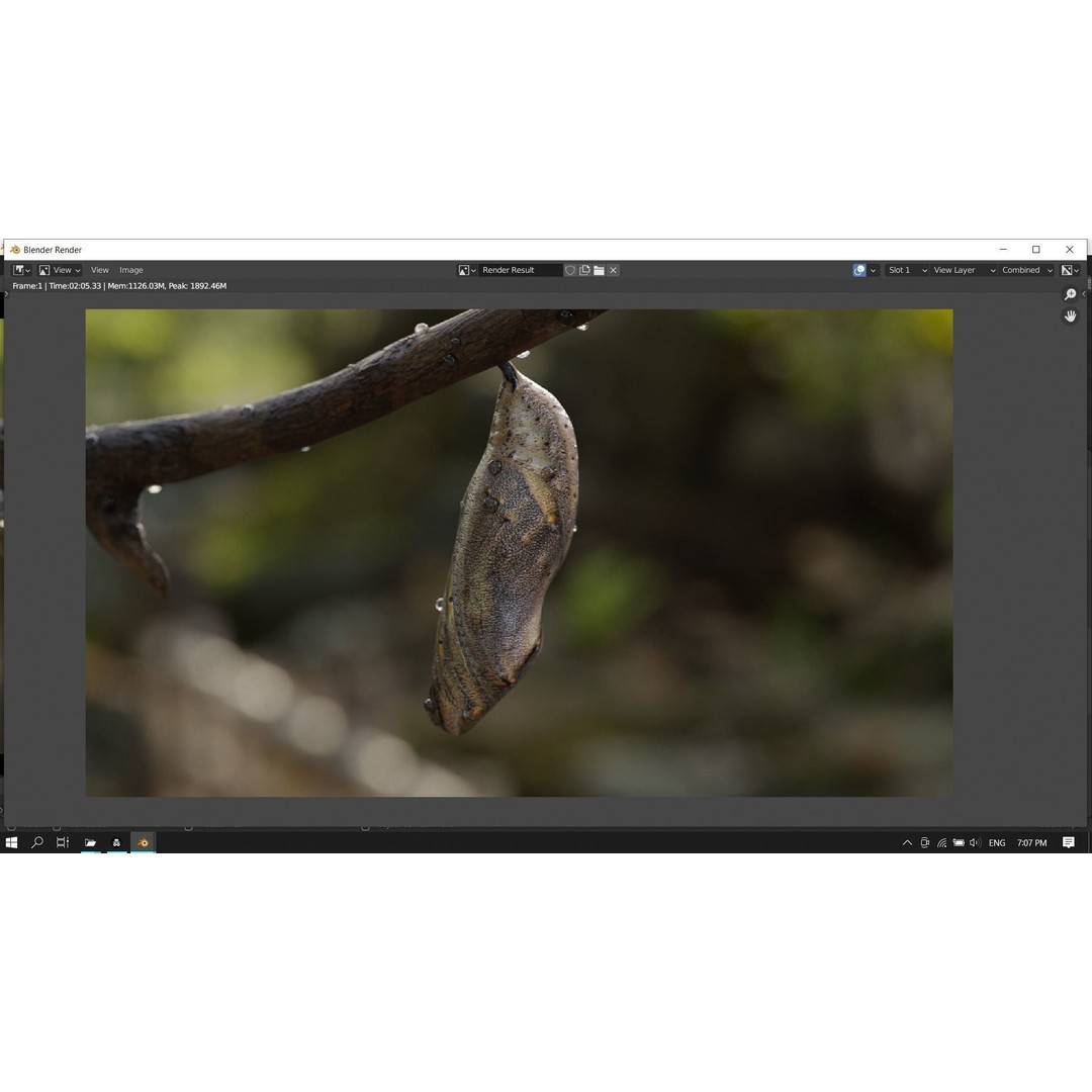 Butterfly Cocoon 3D Model – Low Poly PBR Asset, FBX, Blender - View 19