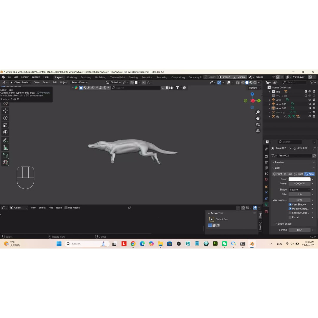 Protocetidae 3D Model – Low Poly Game Asset, Rigged, FBX - View 10