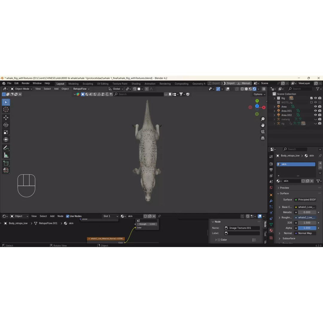 Protocetidae 3D Model – Low Poly Game Asset, Rigged, FBX - View 13