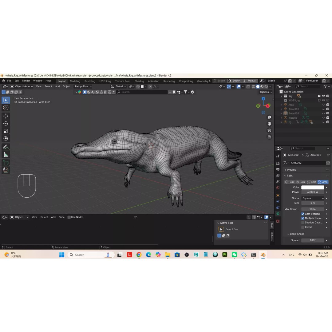 Protocetidae 3D Model – Low Poly Game Asset, Rigged, FBX - View 15