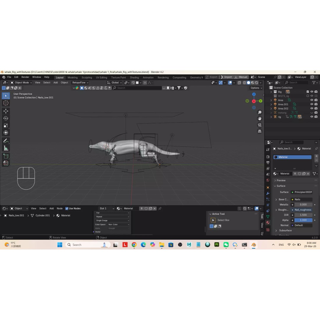 Protocetidae 3D Model – Low Poly Game Asset, Rigged, FBX - View 17