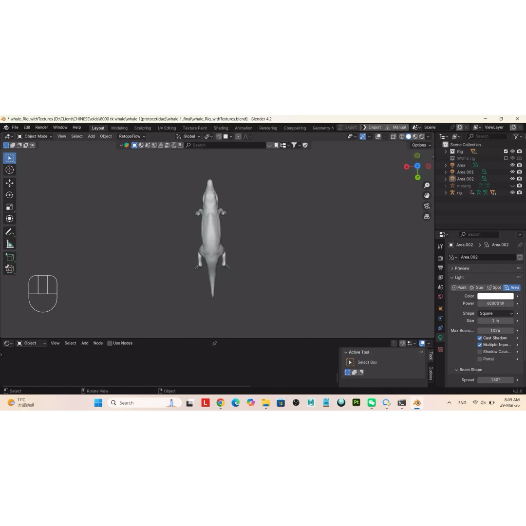 Protocetidae 3D Model – Low Poly Game Asset, Rigged, FBX - View 3