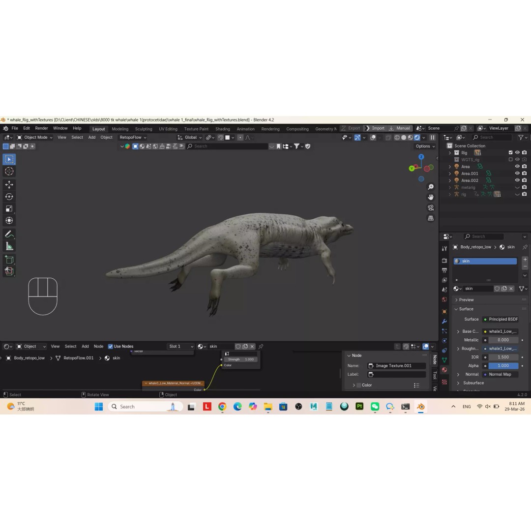 Protocetidae 3D Model – Low Poly Game Asset, Rigged, FBX - View 5