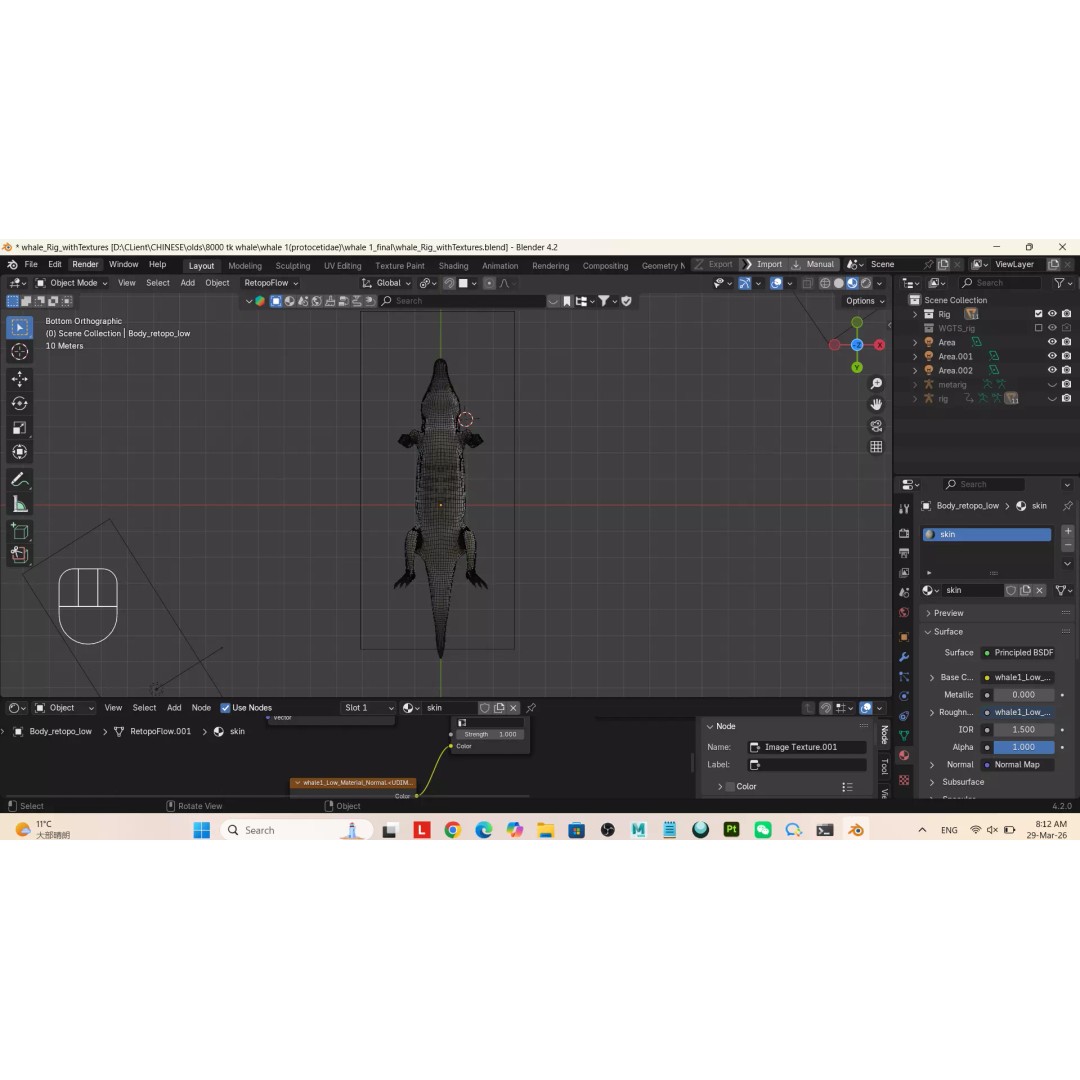 Protocetidae 3D Model – Low Poly Game Asset, Rigged, FBX - View 8