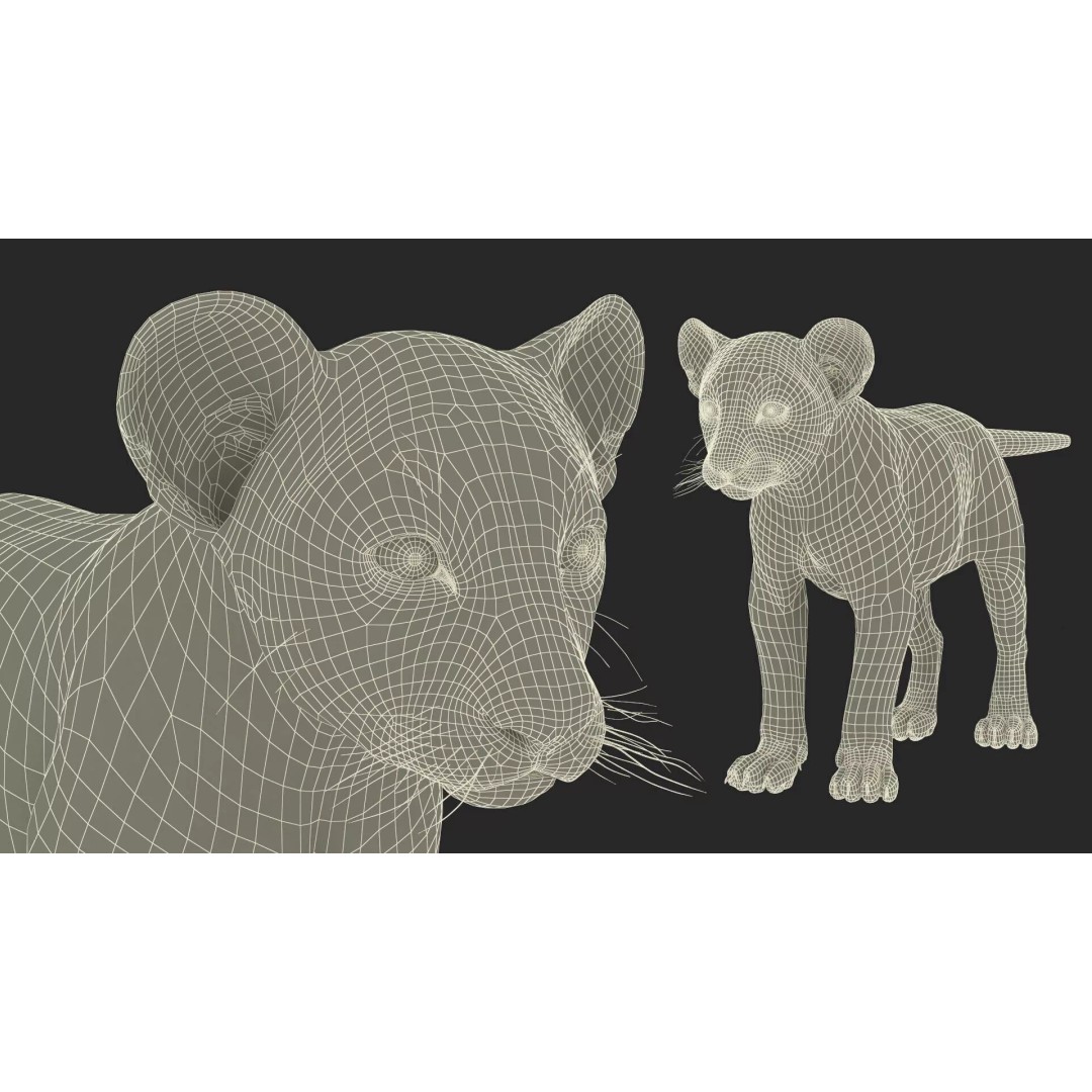 Lion Cub Fur 3D Model – High Poly PBR Asset for Animation