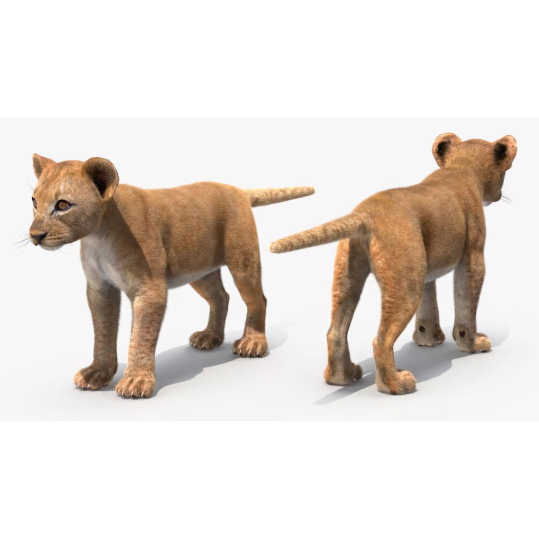 Lion Cub Fur 3D Model – High Poly PBR Asset for Animation - View 11
