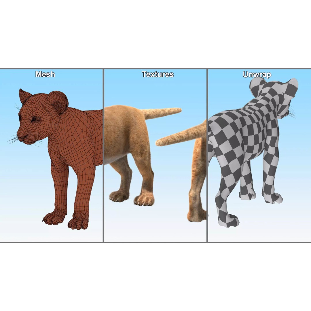 Lion Cub Fur 3D Model – High Poly PBR Asset for Animation - View 12