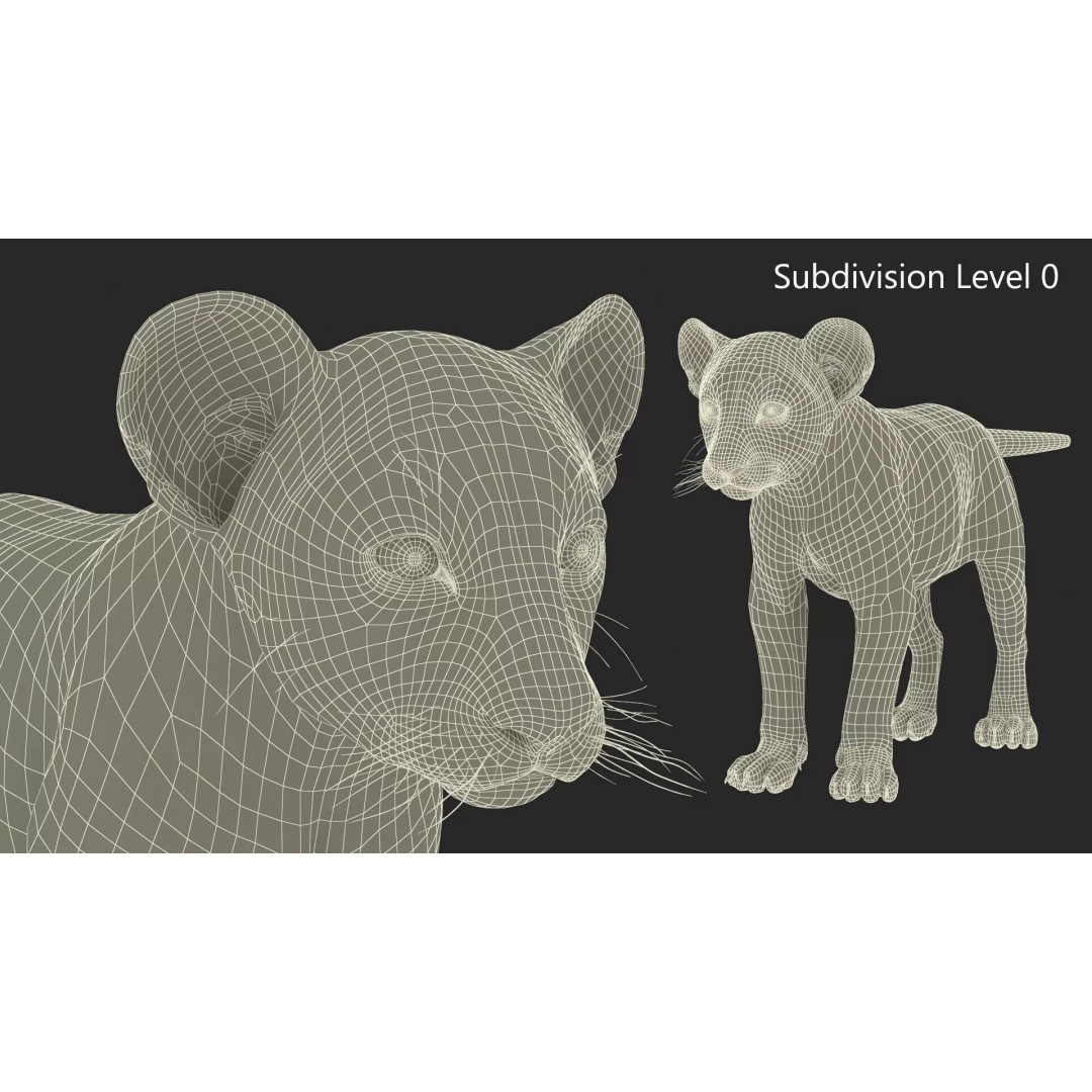Lion Cub Fur 3D Model – High Poly PBR Asset for Animation - View 13