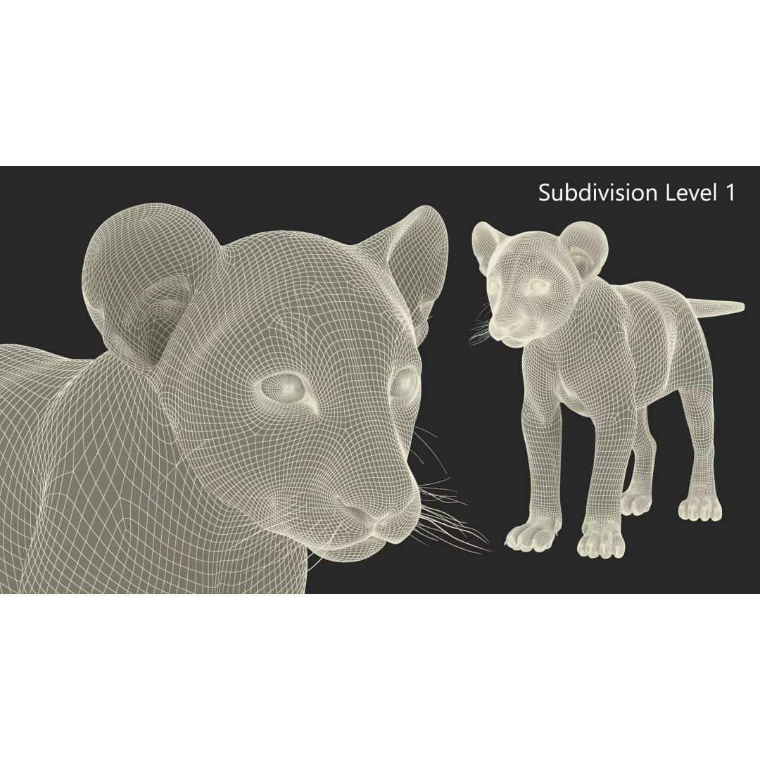 Lion Cub Fur 3D Model – High Poly PBR Asset for Animation - View 14