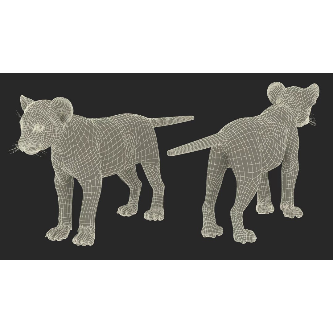 Lion Cub Fur 3D Model – High Poly PBR Asset for Animation - View 18