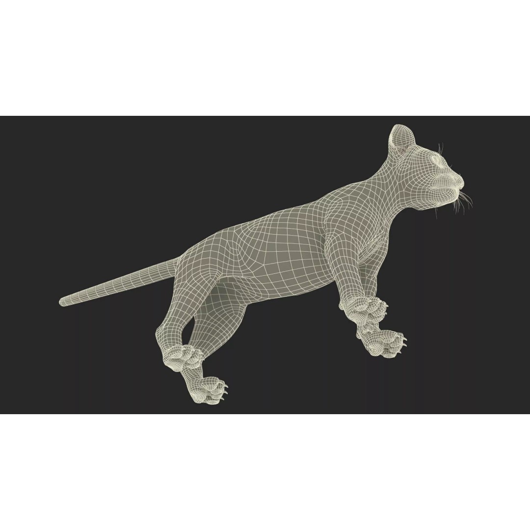 Lion Cub Fur 3D Model – High Poly PBR Asset for Animation - View 19