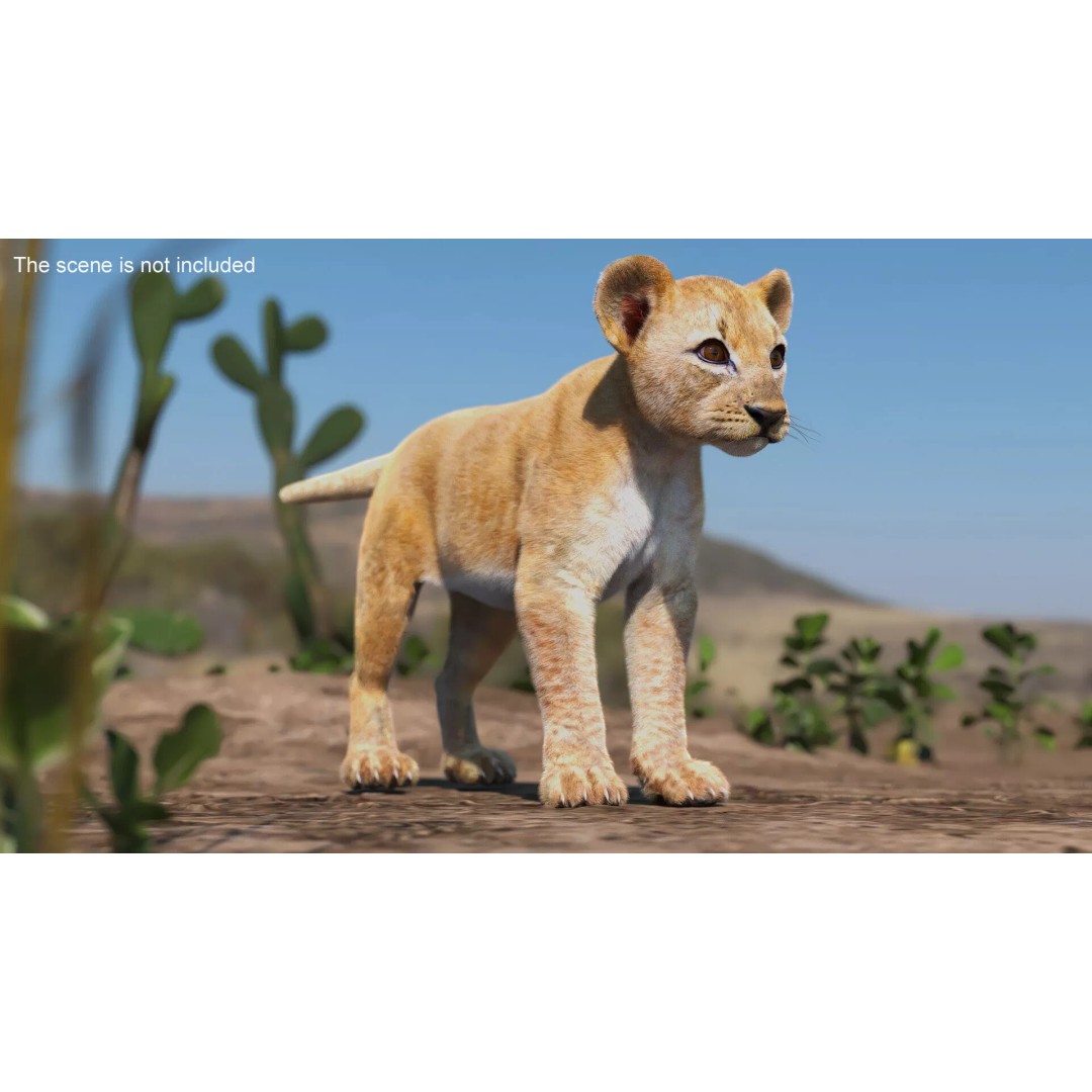 Lion Cub Fur 3D Model – High Poly PBR Asset for Animation - View 3