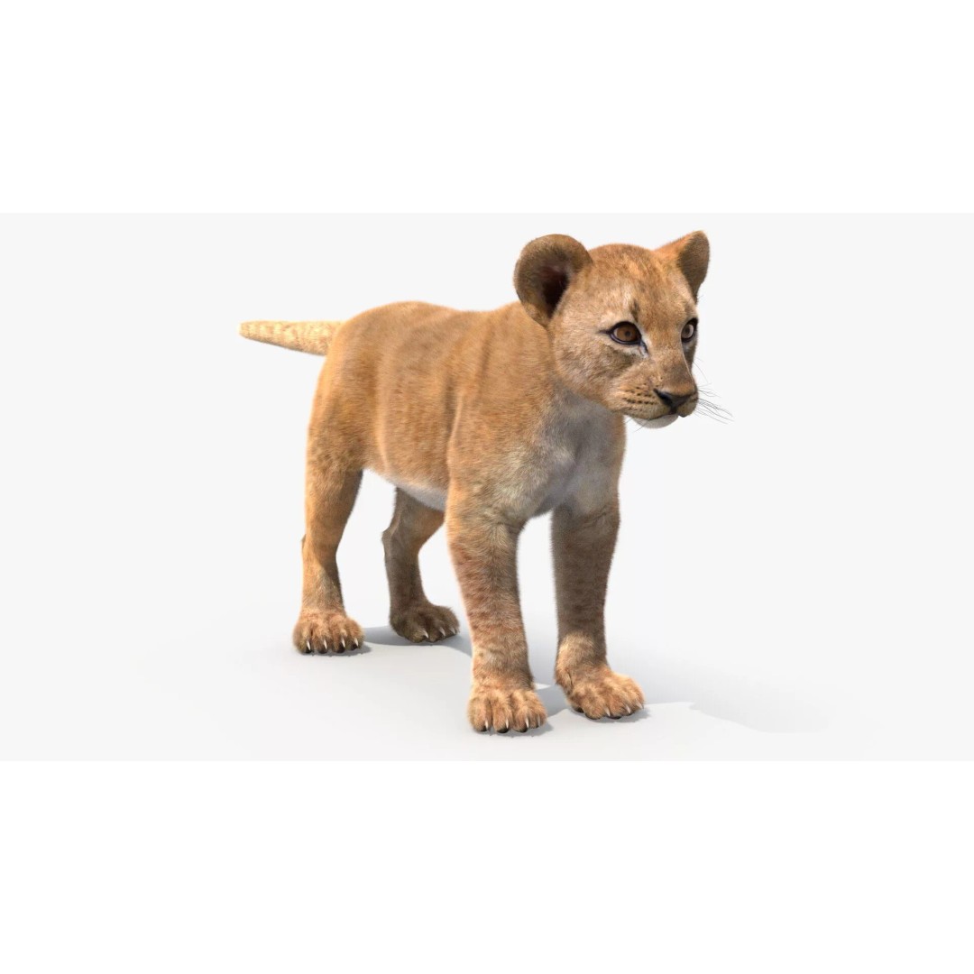 Lion Cub Fur 3D Model – High Poly PBR Asset for Animation - View 4
