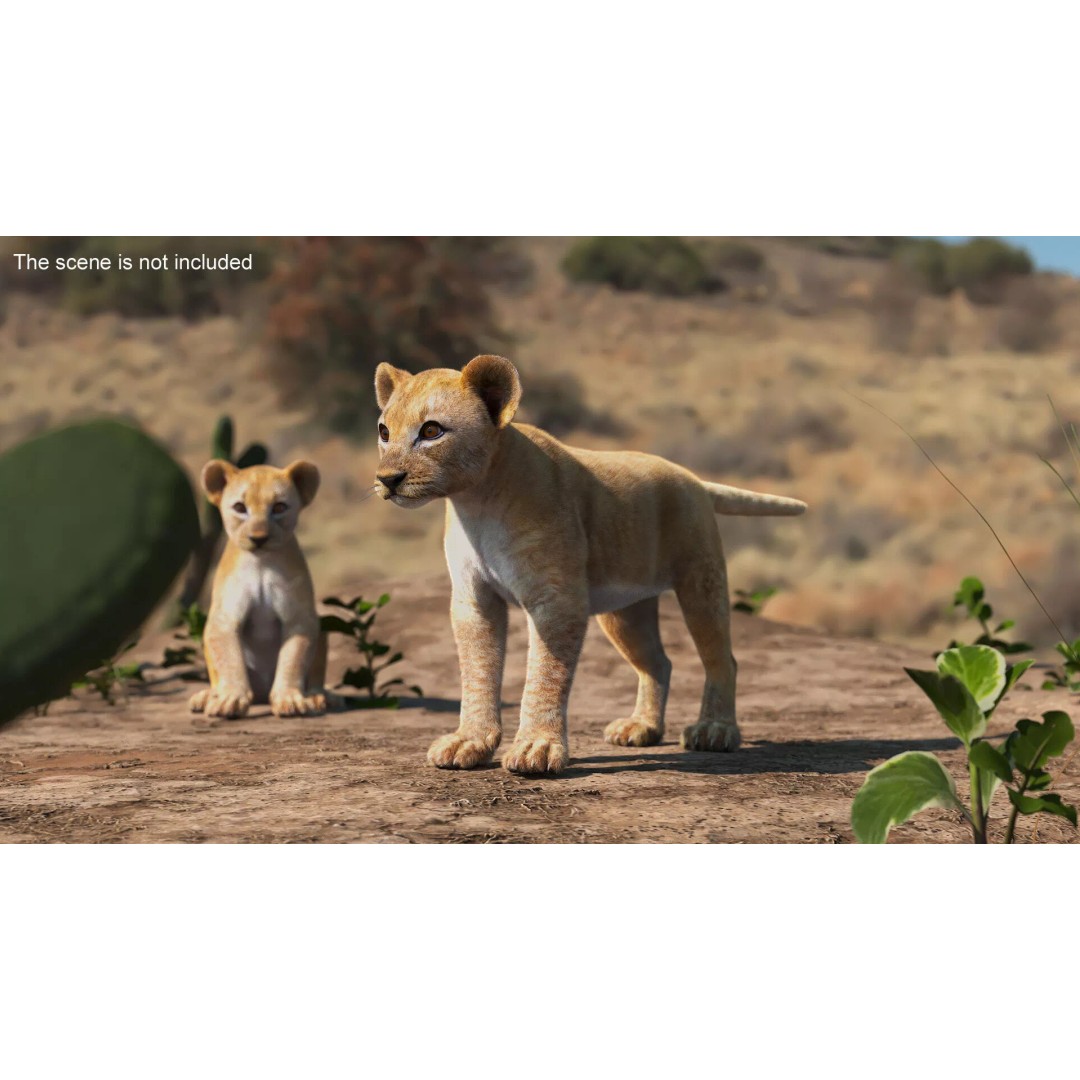 Lion Cub Fur 3D Model – High Poly PBR Asset for Animation - View 6