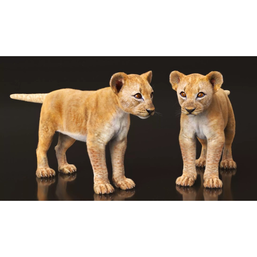 Lion Cub Fur 3D Model – High Poly PBR Asset for Animation - View 7