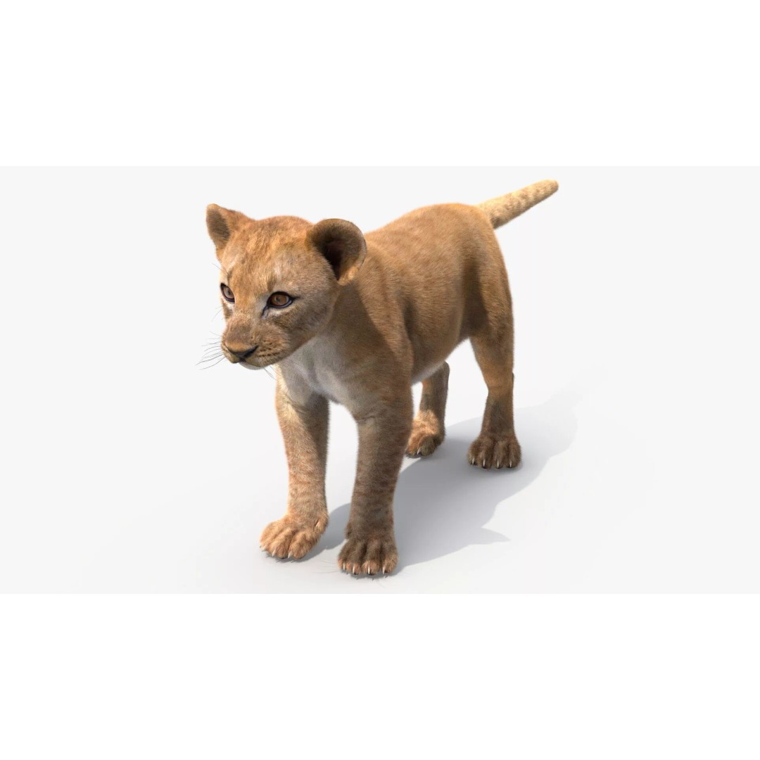 Lion Cub Fur 3D Model – High Poly PBR Asset for Animation - View 8
