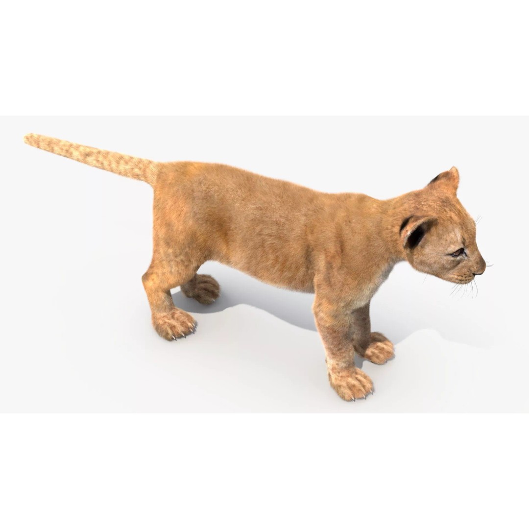 Lion Cub Fur 3D Model – High Poly PBR Asset for Animation - View 9