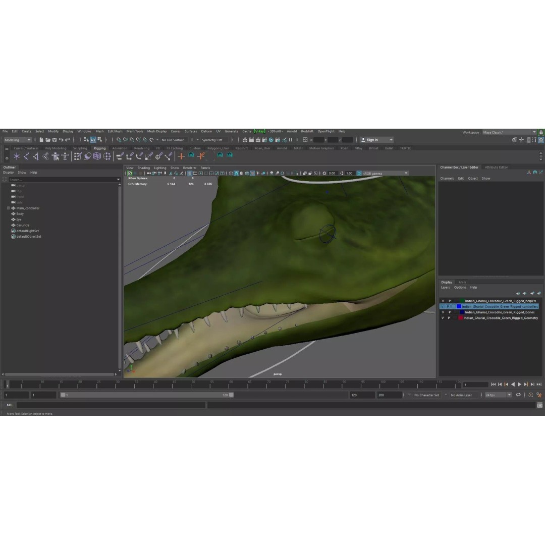 Indian Gharial Crocodile 3D Model – Rigged PBR Animation Asset for Maya