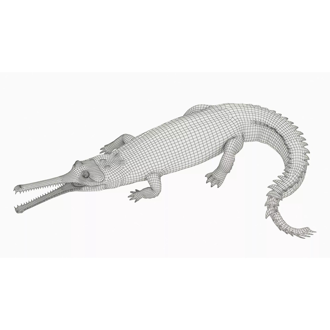 Indian Gharial Crocodile 3D Model – Rigged PBR Animation Asset for Maya - View 11