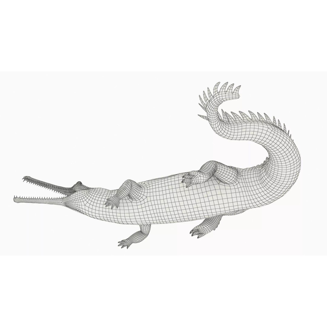 Indian Gharial Crocodile 3D Model – Rigged PBR Animation Asset for Maya - View 12