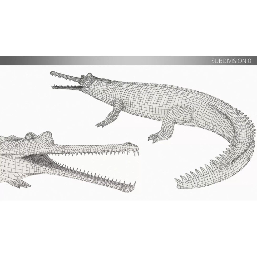 Indian Gharial Crocodile 3D Model – Rigged PBR Animation Asset for Maya - View 13