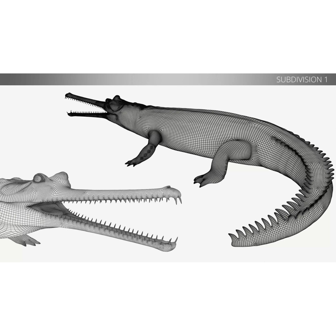 Indian Gharial Crocodile 3D Model – Rigged PBR Animation Asset for Maya - View 14