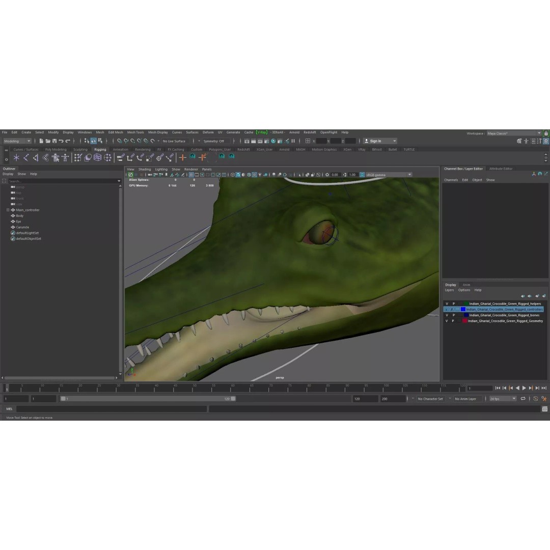 Indian Gharial Crocodile 3D Model – Rigged PBR Animation Asset for Maya - View 22