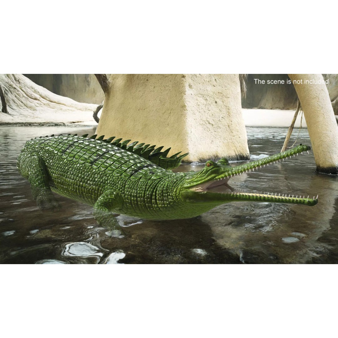 Indian Gharial Crocodile 3D Model – Rigged PBR Animation Asset for Maya - View 4