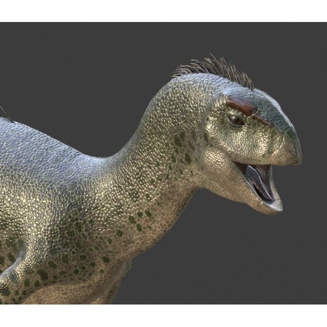 Dryosaurus 3D Model – Low Poly Rigged Dinosaur Asset Pack, FBX - View 12