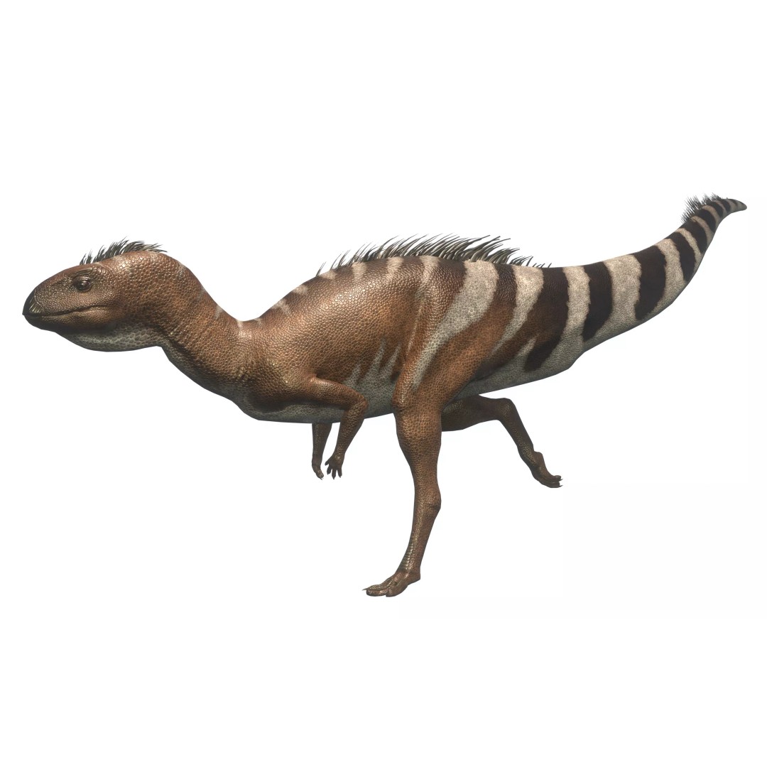 Dryosaurus 3D Model – Low Poly Rigged Dinosaur Asset Pack, FBX - View 2