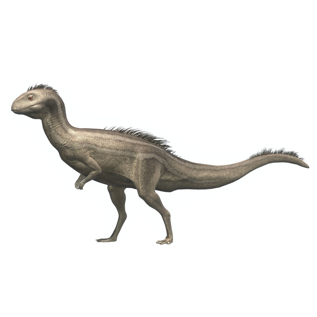 Dryosaurus 3D Model – Low Poly Rigged Dinosaur Asset Pack, FBX - View 4
