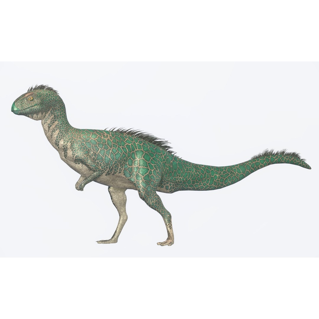 Dryosaurus 3D Model – Low Poly Rigged Dinosaur Asset Pack, FBX - View 5