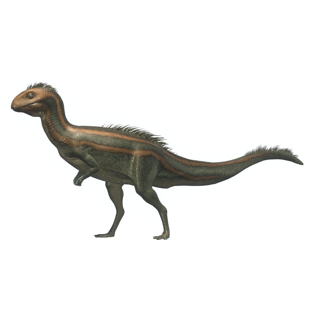 Dryosaurus 3D Model – Low Poly Rigged Dinosaur Asset Pack, FBX - View 6