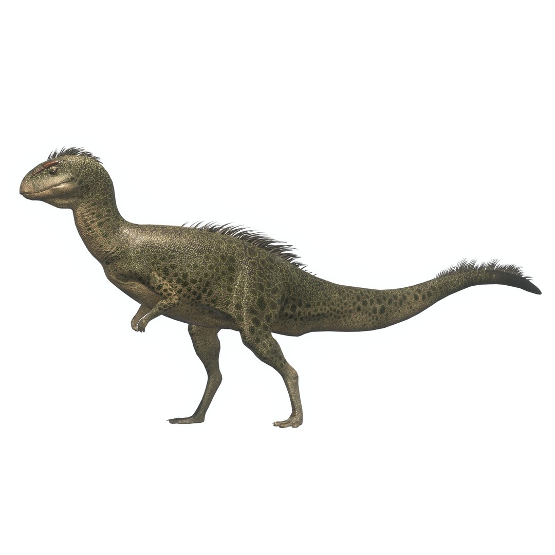 Dryosaurus 3D Model – Low Poly Rigged Dinosaur Asset Pack, FBX - View 7